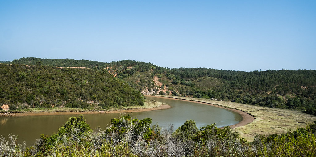 rio no meio de floresta