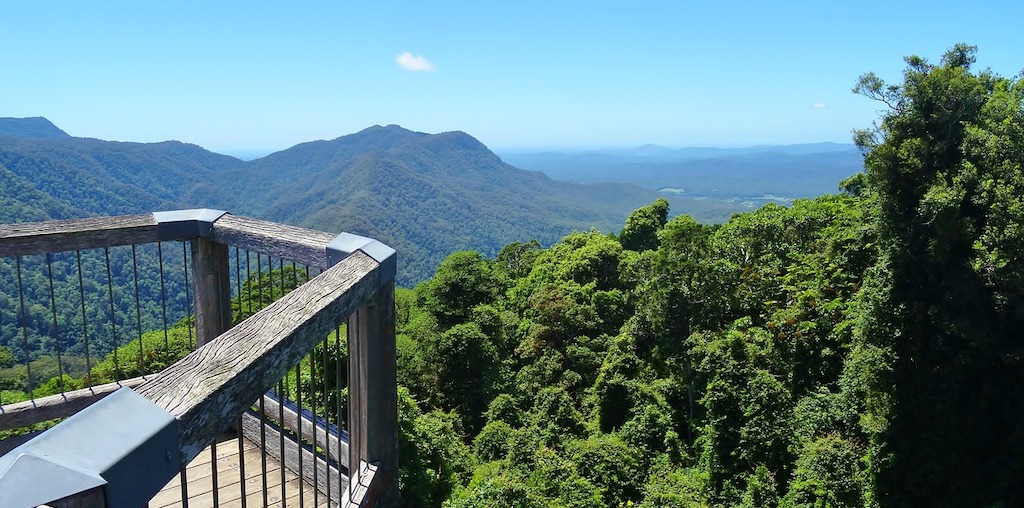 Posto de vigia no topo de floresta