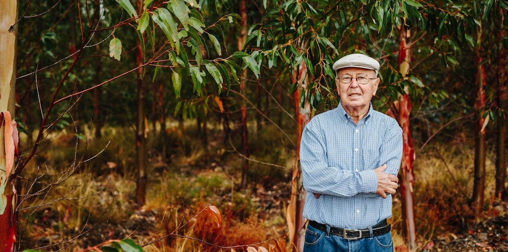 Manuel Aires Henriques na floresta de eucalipto