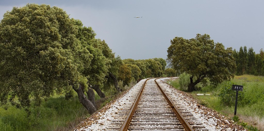 florestas num caminho férreo