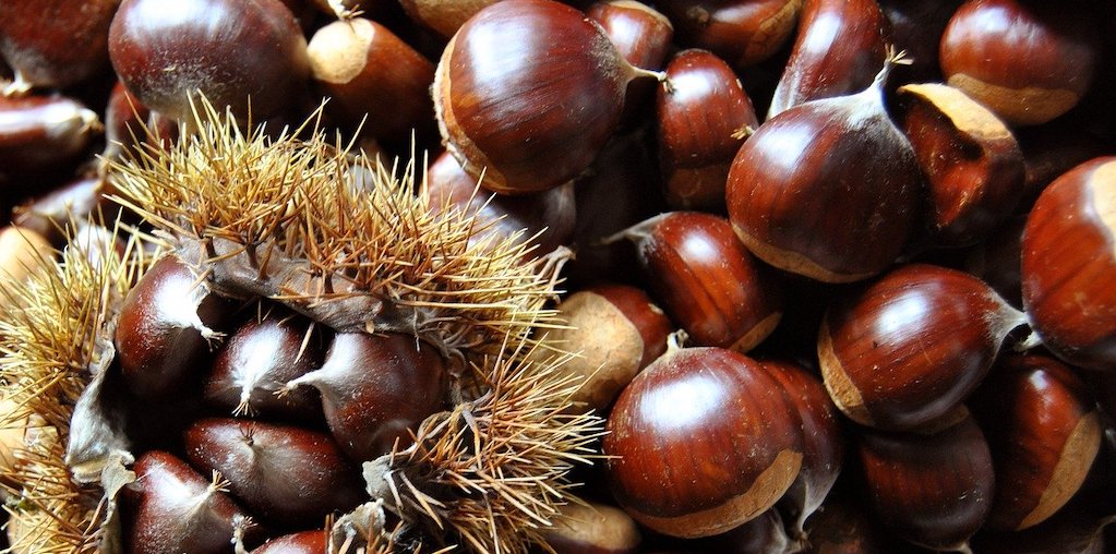 Castanhas