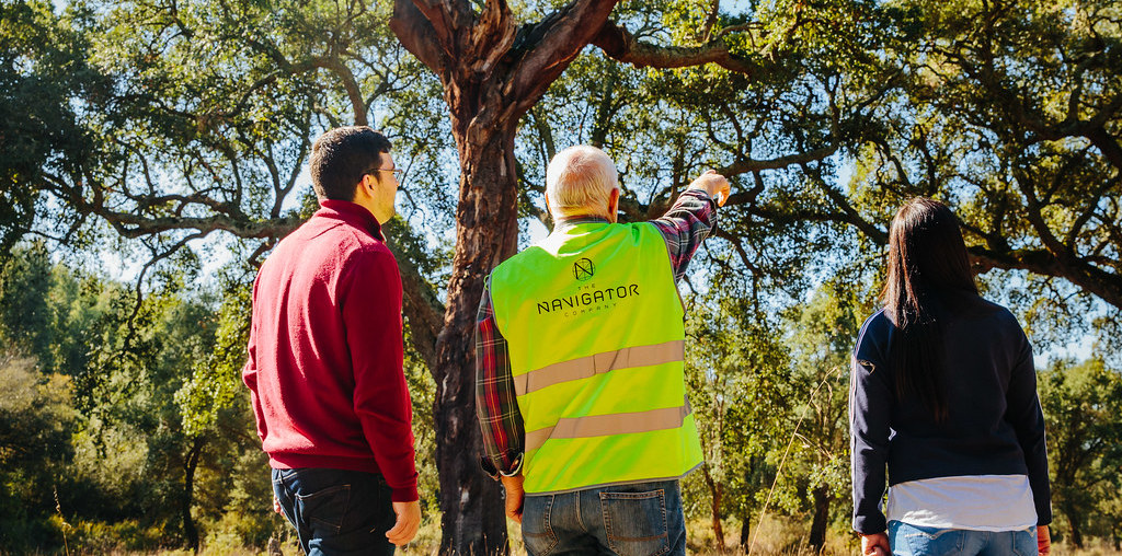 navigator distinguida