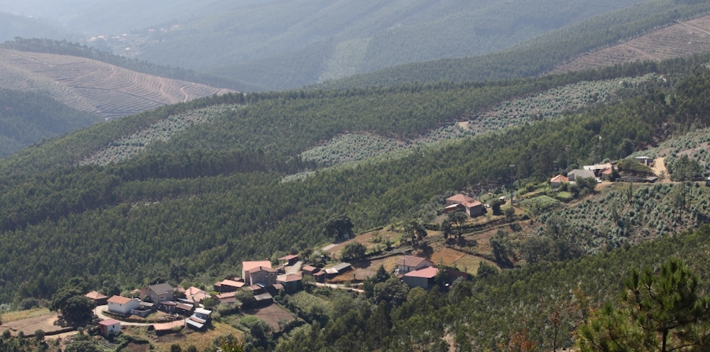 terras cadastradas