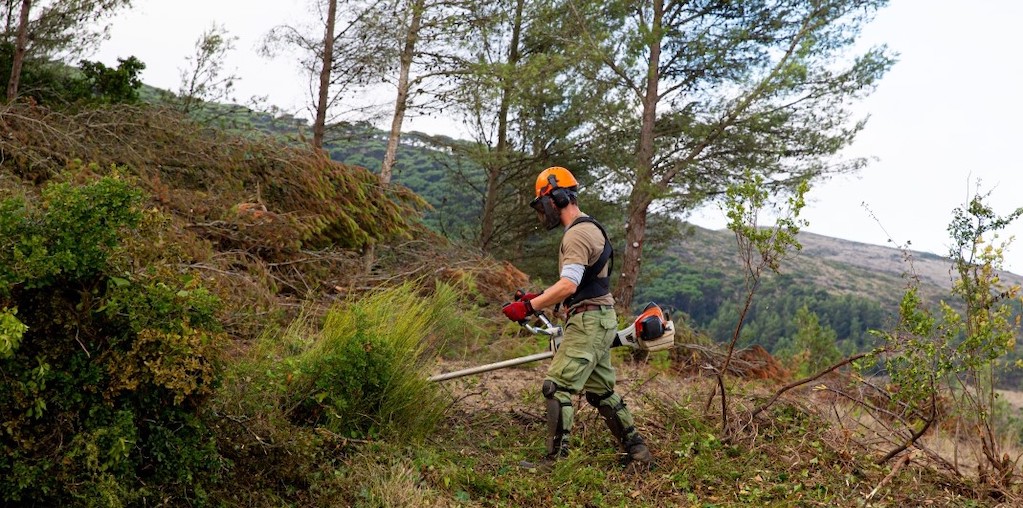 homem a fazer limpeza florestal