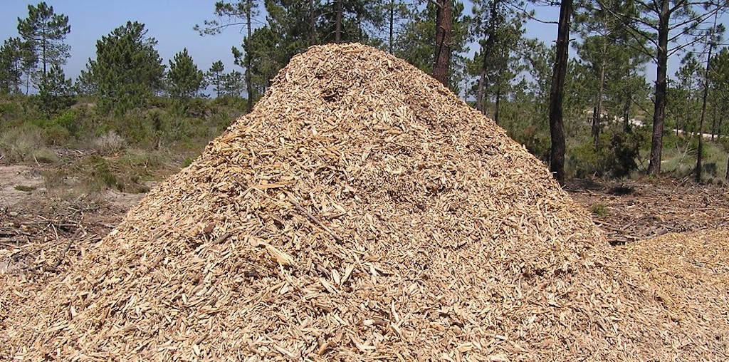 biomassa triturada
