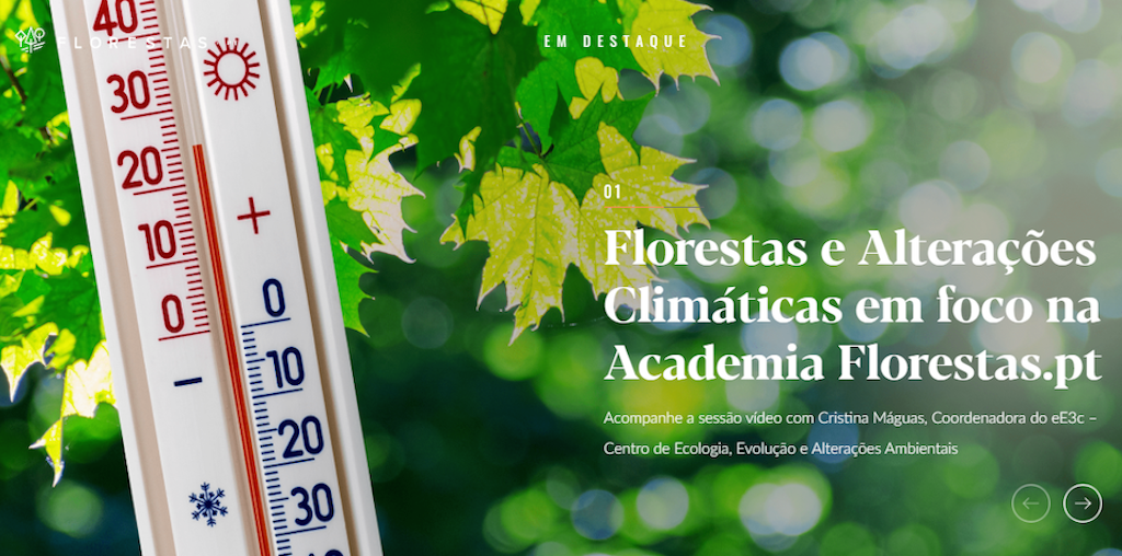 academia Florestas.pt
