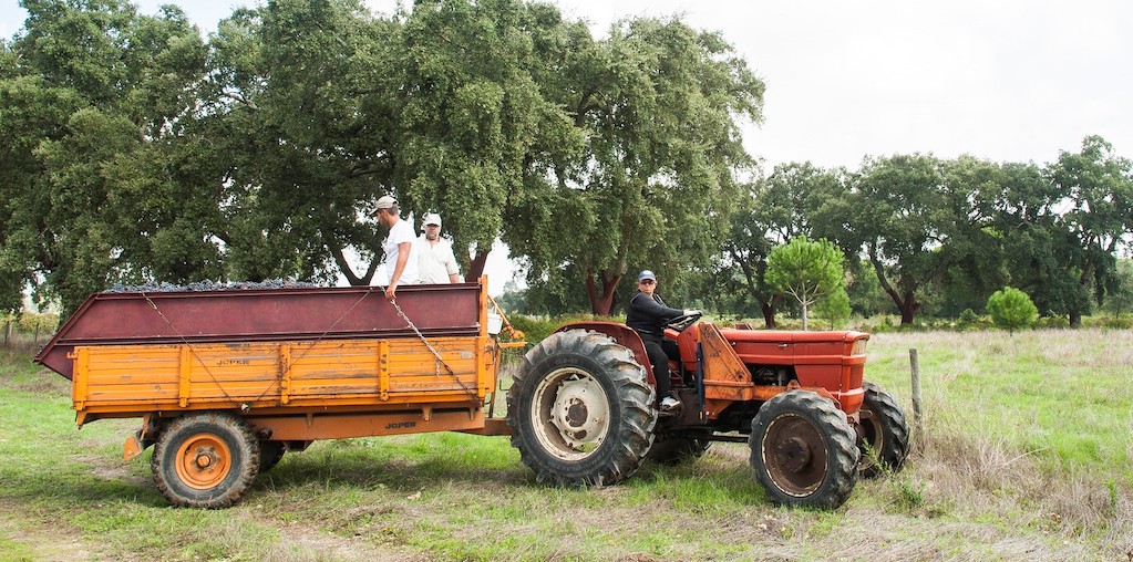 trator agrícola