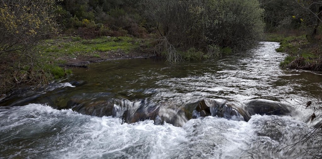 ribeiro a correr