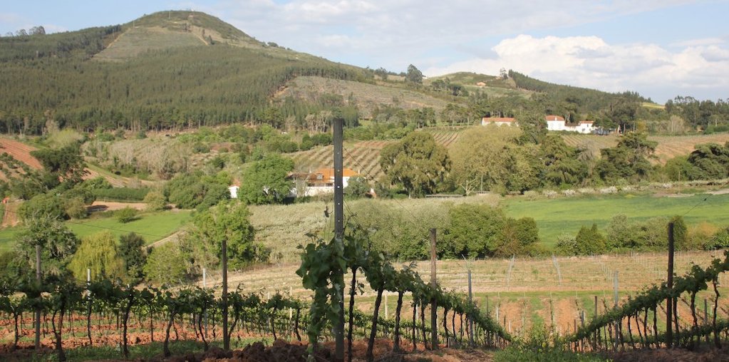 quinta da póvoa