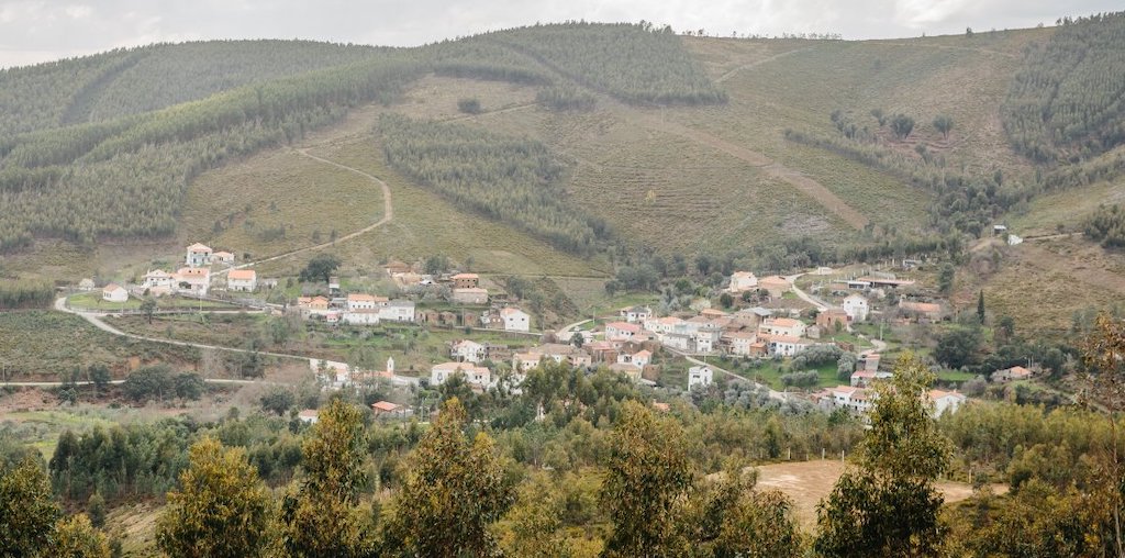 aldeia na floresta