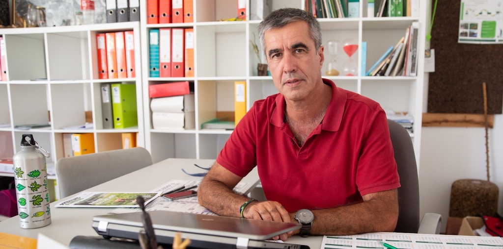 Luís Damas