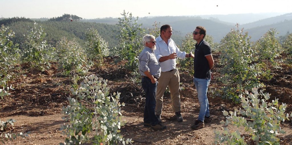 3 homens a conversar na floresta