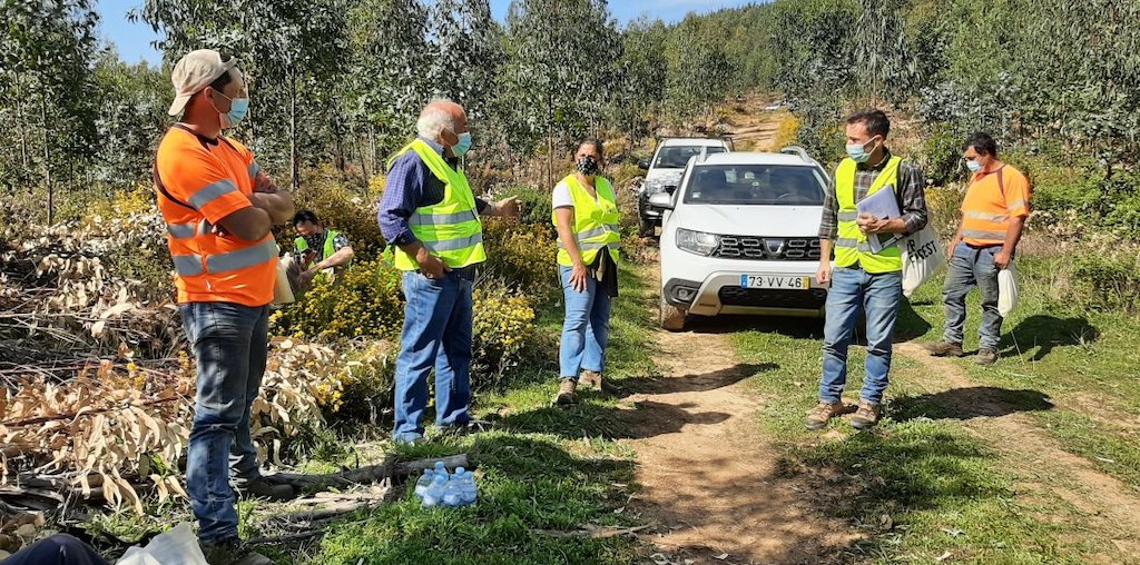 grupo de acoselhamento
