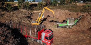 máquinas a trabalhar na floresta