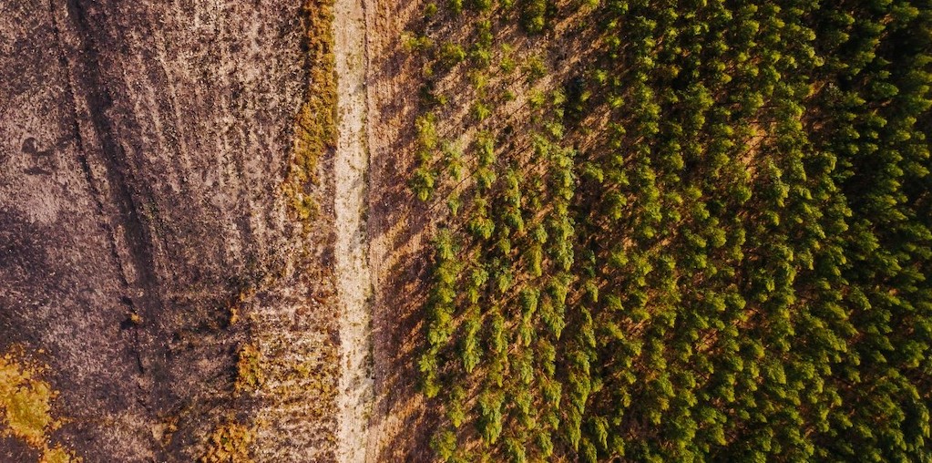 área ardida em Portugal
