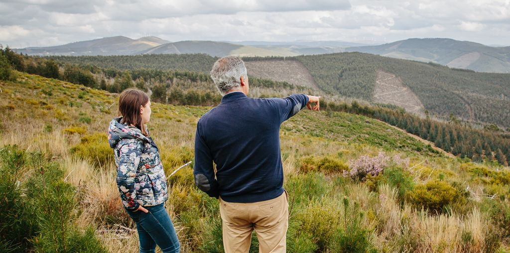 pessoas observam paisagem floresta