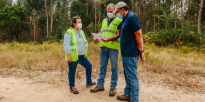 técnicos floresta Mafra