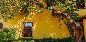 Biodiversidade