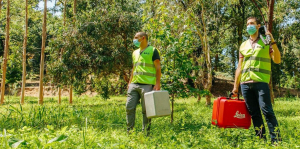técnicos inventário florestal