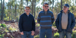 proprietátios gestão sustentável eucalipto